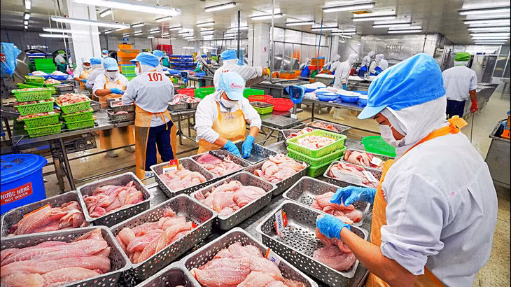 Chế biến thủy sản xuất khẩu tại tỉnh Tiền Giang - Ảnh: TRÚC PHƯƠNG