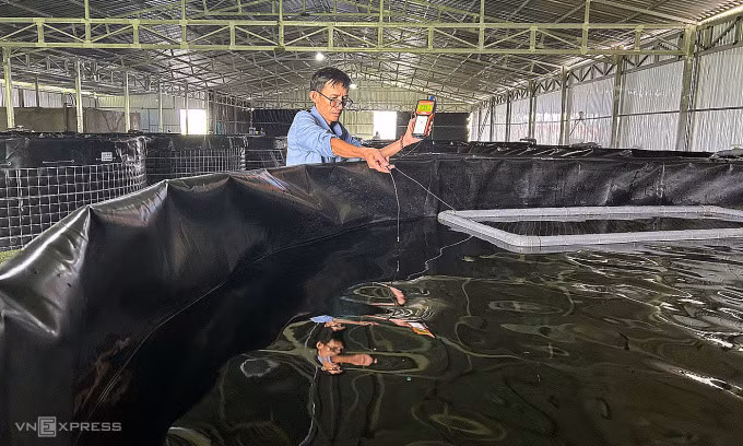Đo nồng độ oxy trong nước tại trang trại nuôi cá chình. Ảnh: Ngọc Tài