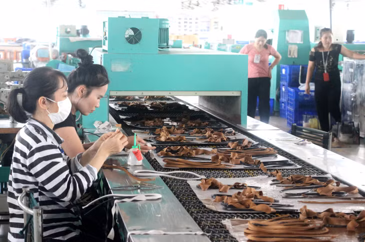 Sản xuất giày da tại Nhà máy giày Chi nhánh Công ty TNHH Sao Vàng Uông Bí. Ảnh: Mạnh Trường