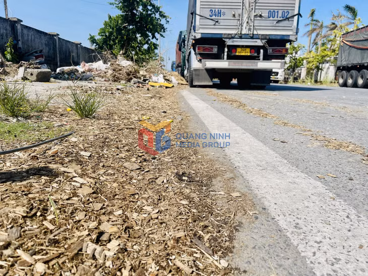 Dăm gỗ rơi vãi, chất dày hai bên tuyến đường trong KCN Cái Lân. Ảnh chụp ngày 23/10/2024.