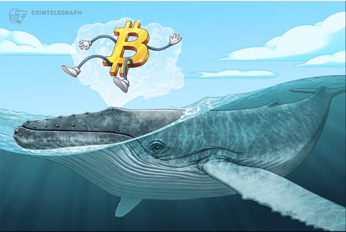 Minh họa ví cá voi Bitcoin. Nguồn: Cointelegraph