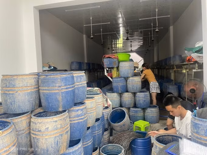 Cơ sở sản xuất giá đỗ của Tuấn trên đường Quang Trung, TP Quảng Ngãi. Ảnh: Thạch Thảo