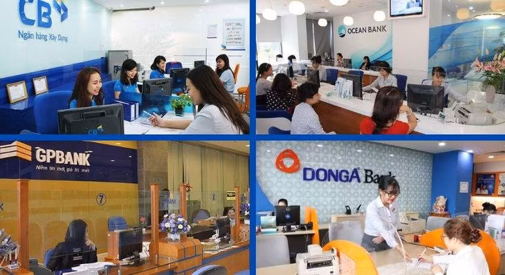Chính phủ đã hoàn thiện phương án chuyển giao bắt buộc với 2 ngân hàng CBBank và OceanBank ảnh 1
