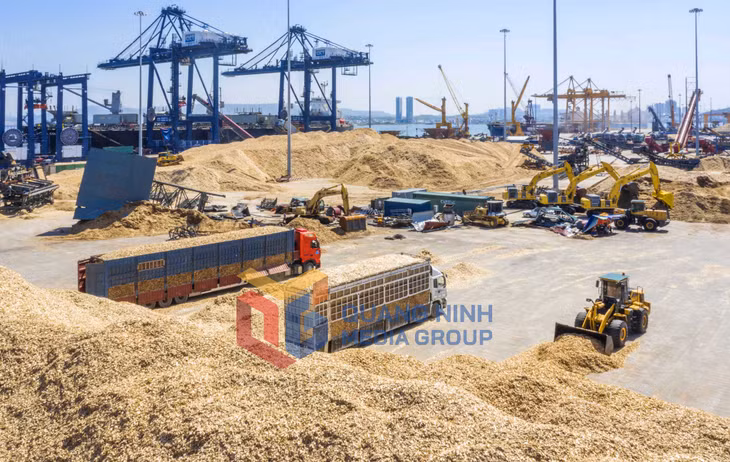 Khu vực xuất khẩu dăm gỗ tại cảng Cái Lân (10-2024). Ảnh: Đỗ Giang