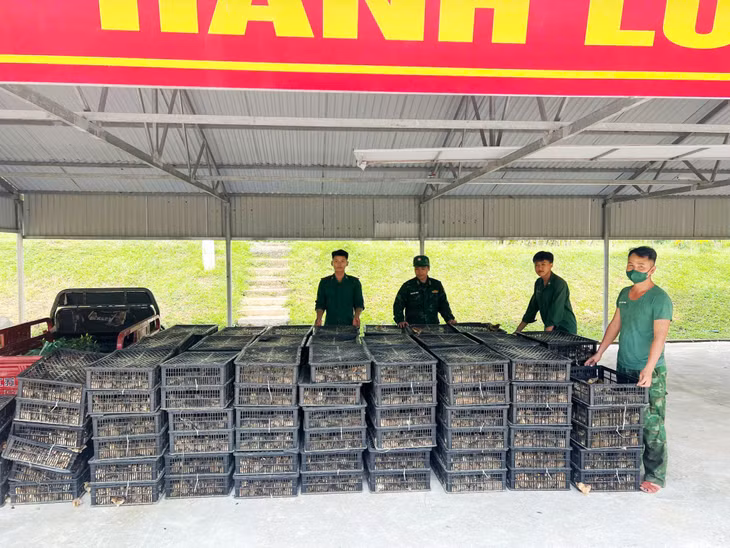Cán bộ BĐBP cùng tang vật đơn vị thu giữ. &nbsp; &nbsp; &nbsp; &nbsp; &nbsp;