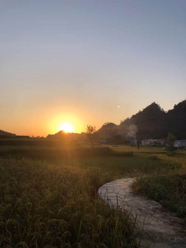 Chị Huyền Nguyễn - một nữ du khách, ấn tượng với vẻ đẹp yên bình của Bản Tèn: "Cảnh sắc thiên nhiên ở đây rất yên bình, không ồn ào như phố thị, không khí trong lành, mát mẻ". Đặc biệt, mùi hương lúa chín gợi nhắc về những kỷ niệm tuổi thơ.