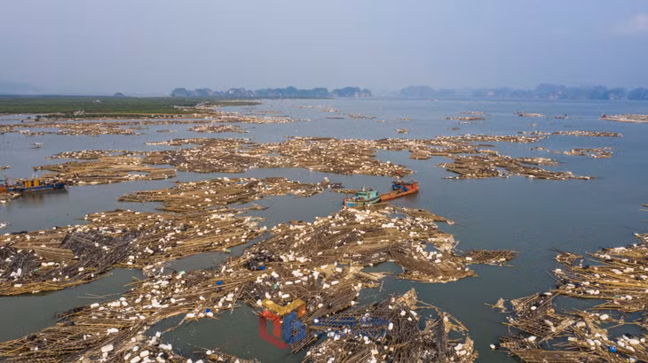 Hàng ngàn lồng bè nuôi hà đại dương tại Hoàng Tân Quảng Yên bị bão đánh hỏng, anh Giang