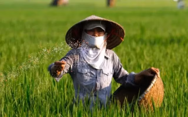 Hộ cá nhân có doanh thu dưới 200 triệu đồng được đề xuất miễn thuế VAT - Ảnh 2.