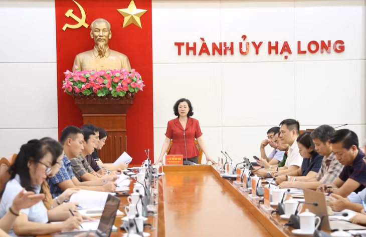 Đồng chí Vũ Thị Mai Anh, Phó Bí thư Thường trực Thành ủy, Chủ tịch HĐND thành phố, Trưởng Tiểu ban Tuyên truyền - Khánh tiết Đại hội Đảng bộ thành phố lần thứ XXVI, chủ trì cuộc họp.