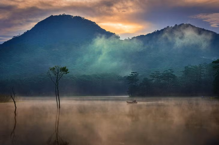 Suối Tía là nơi hiếm hoi sở hữu rừng cây chò ngập nước và hệ sinh thái đa dạng ở vùng cao nguyên Lang Biang, Lâm Đồng. Ảnh: Sang DL