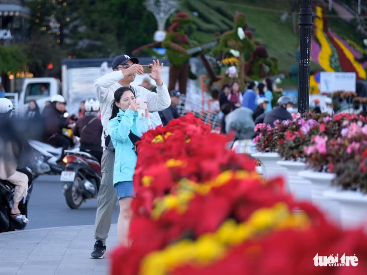 Ban tổ chức Festival hoa Đà Lạt 2024 cho biết sẽ thực hiện không gian hoa ngoài trời đặc sắc hơn các năm trước - Ảnh: M.V.