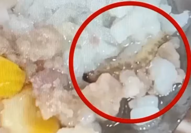 Hình ảnh dị vật trong suất ăn của sinh viên Đại học Bách khoa Hà Nội. (Ảnh: VTV)