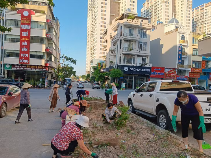 Nhân dân phường Bãi Cháy ra quân cải tạo các tuyến đường hoa.