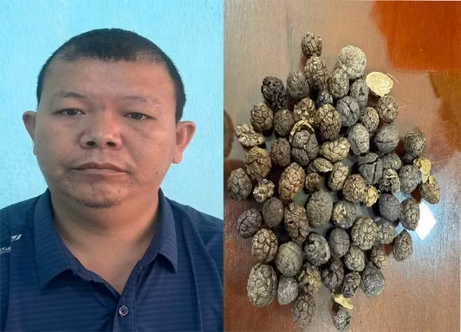 Đối tượng Nguyễn Bằng Giang đã buôn lậu 17 tấn dược liệu quý qua biên giới. Ảnh: CATH