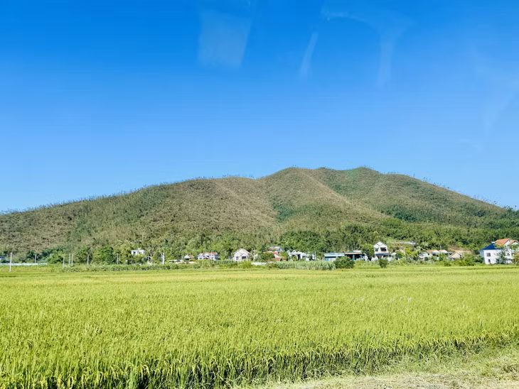 Những cánh rừng ở xã Sơn Dương (TP Hạ Long) bị gãy, đổ do bão.