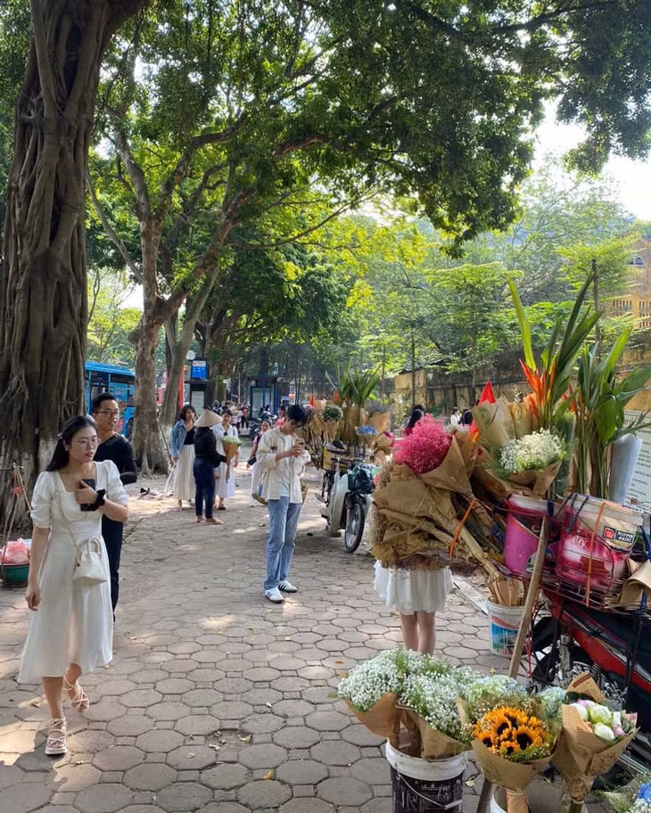 “Con phố vẫn giữ được vẻ đẹp vốn có sau khi chịu ảnh hưởng của bão. Tuy lượng xe hoa năm nay không nhiều như trước, nhưng vẫn đủ đẹp để du khách chụp ảnh, cảm nhận hơi thở của mùa Thu nơi đây”, anh Quân Bùi nhận định. Ảnh: Ngọc Lương