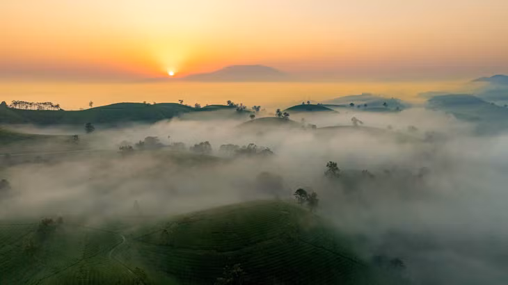 Để có bức ảnh “săn” sương sớm thành công tại đồi chè Long Cốc, thời điểm thích hợp là vào cuối Thu, đầu Đông. Ảnh: Hoàng Lê