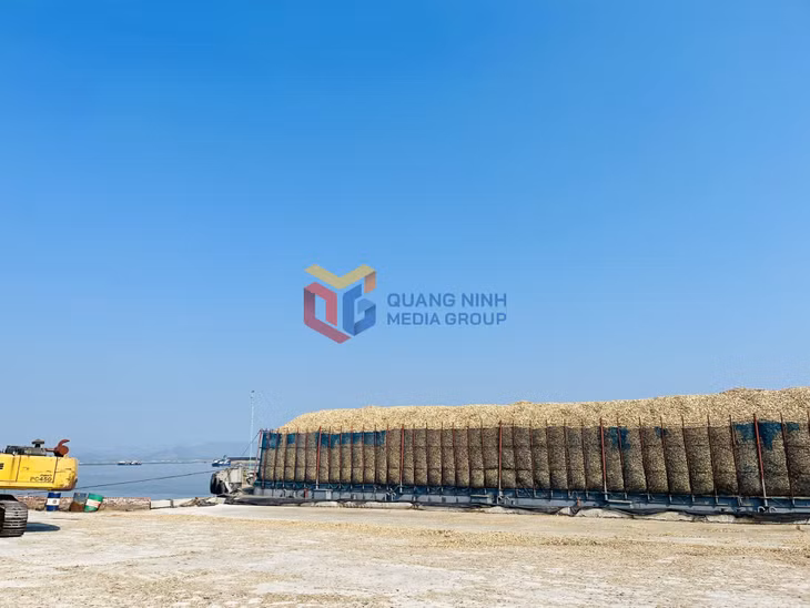 Nhiều xà lan trong quá trình bốc xếp dăm gỗ chưa có các biện pháp bảo vệ môi trường. Ảnh chụp ngày 9/10/2024.