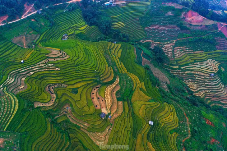 Những thửa ruộng nối tiếp, xếp chồng lên nhau, đều tăm tắp, tạo thành những nấc thang khổng lồ...