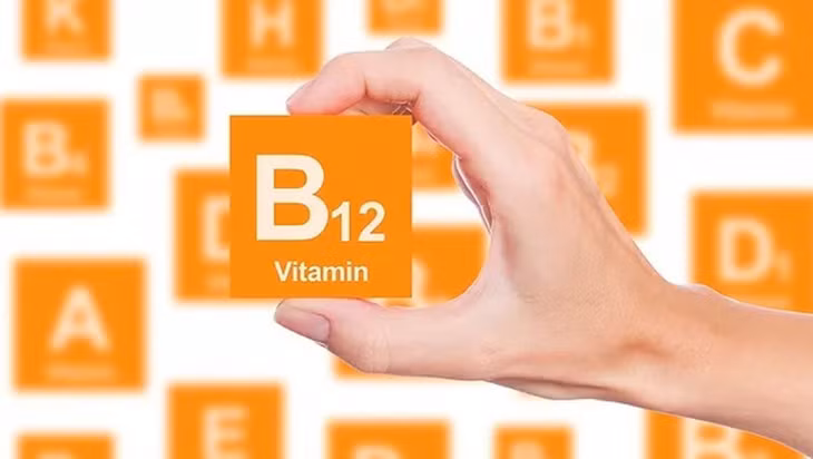 Vitamin B12 rất quan trọng trong cấu tạo nên hồng cầu và sản sinh tiểu cầu.
