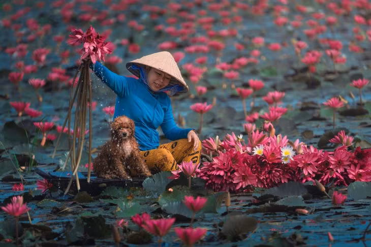 Sắc màu Việt Nam trong cuộc thi ảnh quốc tế ảnh 5