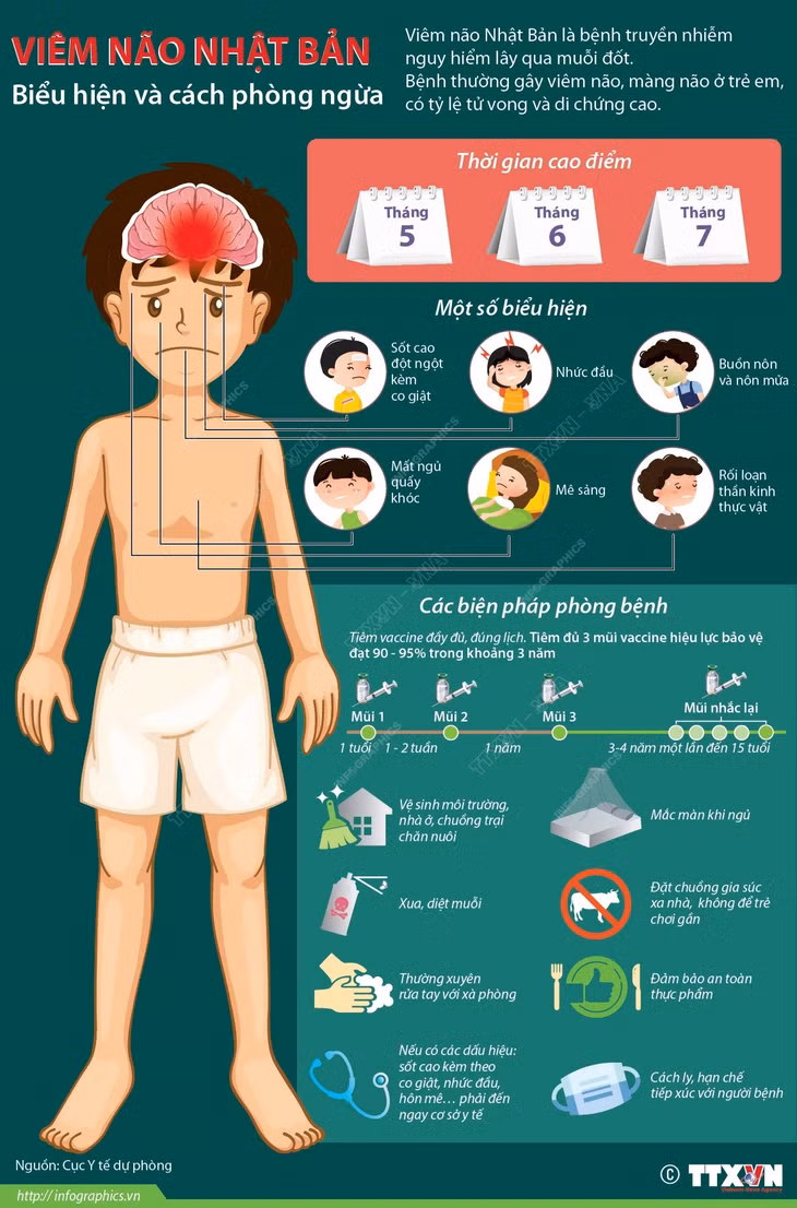 Viêm não Nhật Bản: Biểu hiện và cách phòng ngừa