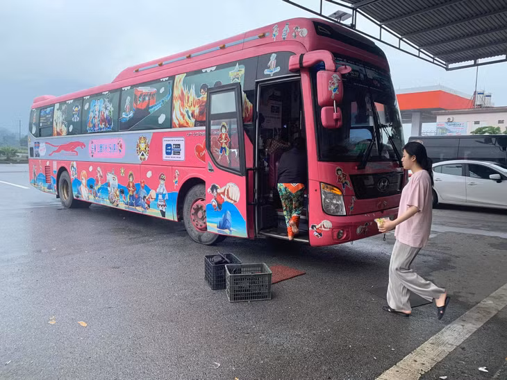 Việc chạy "chui", sử dụng xe biển nước ngoài đã giúp cho giá vận chuyển của xe Interbus Line thấp hơn nhiều so với xe Việt, cạnh tranh không sòng phẳng, ảnh hưởng nghiêm trọng đến thị trường.