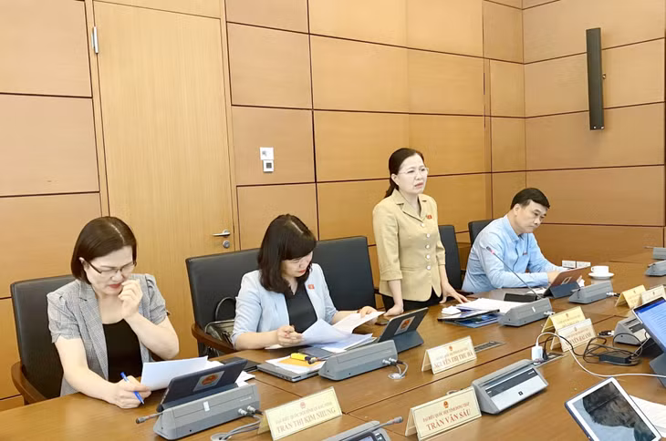 ĐBQH tỉnh Quảng Ninh Đỗ Thị Lan, phát biểu tại tổ về Dự án Luật Phòng, chống bạo lực gia đình (sửa đổi).