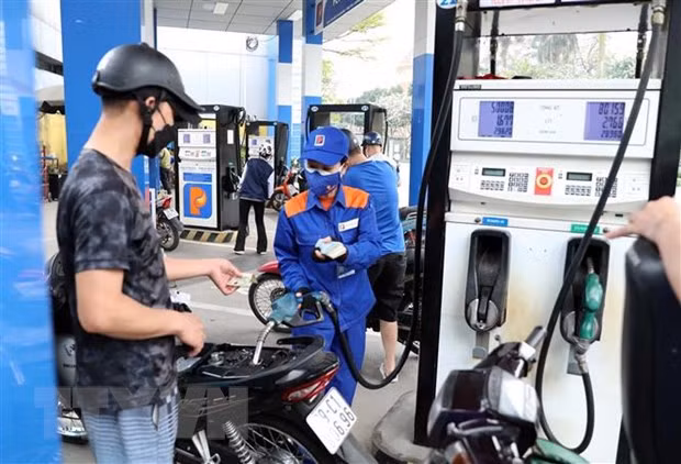 Dai bieu Quoc hoi lo ngai gia xang tang anh huong den lam phat hinh anh 1