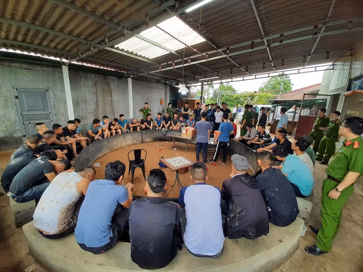 Nhóm đối tượng bị bắt giữ