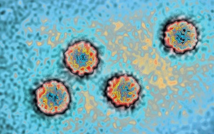 Hình ảnh mô phỏng virus gây bệnh viêm gan.