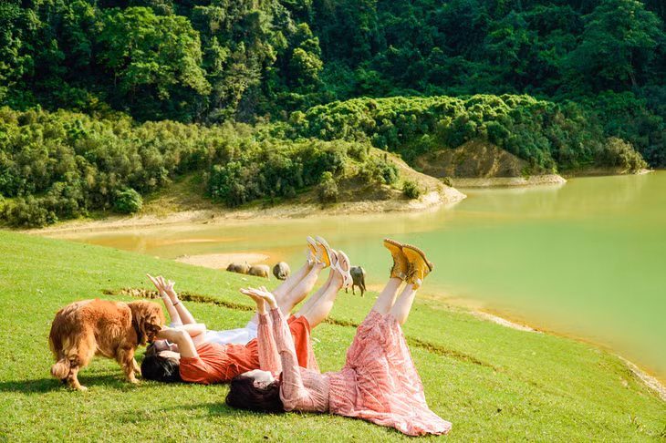 Thảo nguyên Đồng Lâm thay áo mới mùa nước nổi, đẹp như cổ tích - Ảnh 7.