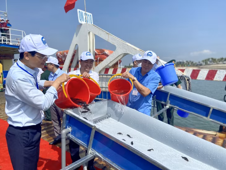 Tại buổi lễ, hơn 8 triệu con giống thủy sản có giá trị kinh tế cao đã được thả xuống Vịnh Bắc Bộ.