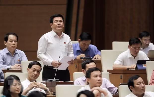 Quoc hoi chua xem xet den viec bo quy hoach dien hat nhan hinh anh 1