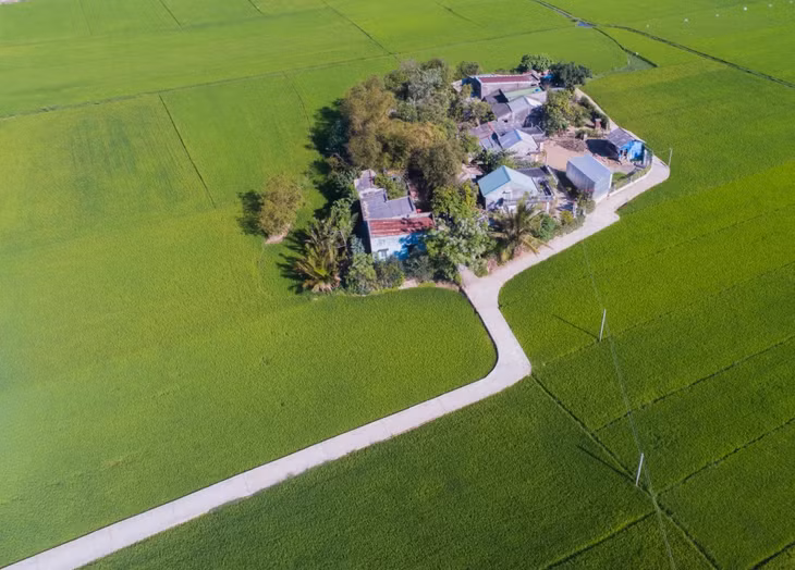 Cảnh sắc miền quê Bình Định ảnh 4