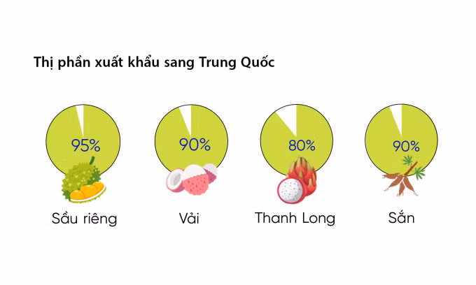 Một số nông sản chiếm tỷ trọng cao trong "rổ" hàng xuất sang Trung Quốc. Đồ hoạ: Đỗ Nam