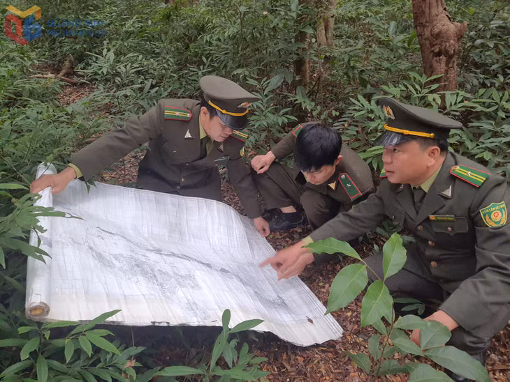 Lực lượng kiểm lâm khảo sát, lên phương án trồng bổ sung rừng tự nhiên tại vị trí rừng đầu nguồn hồ Yên Lập.