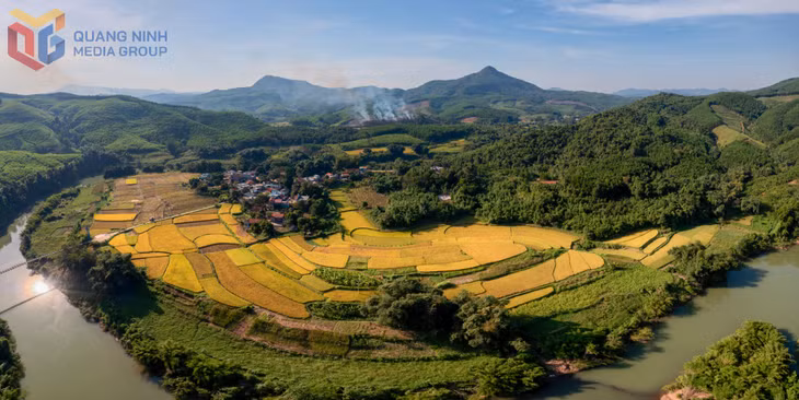 Mùa vàng trên bản làng Ba Chẽ.