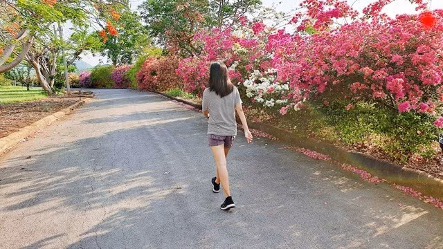 Những thói quen đơn giản có thể thay đổi vóc dáng ở mọi lứa tuổi. Ảnh Hương Sơn