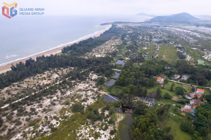 Hoang sơ bãi biển Đầu Đông, xã Vĩnh Thực