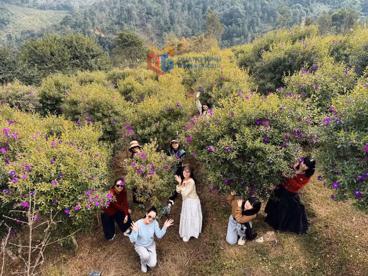 Bình Liêu farm (xã Hoành Mô) thu hút nhiều du khách đến tham quan.