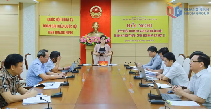 Đoàn ĐBQH tỉnh lấy ý kiến tham gia vào các dự án luật trình kỳ họp thứ 6, Quốc hội khoá XV (Đợt 2), tháng 6/2025.