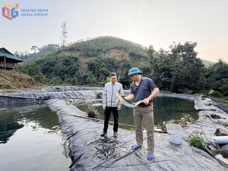 Mô hình nuôi cá tầm của anh Trần Văn Mạ, thôn Đồng Đình, xã Tiên Yên cho hiệu quả kinh tế cao.