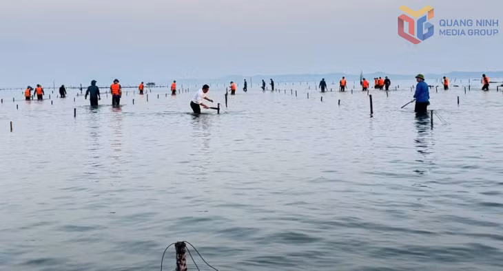 Xã Vĩnh Thực ra quân xử lý nuôi trồng thuỷ sản trái phép, ngày 9/12.