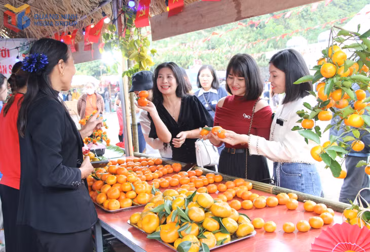 Các gian hàng cam thu hút đông du khách thưởng thức và mua về làm quà.