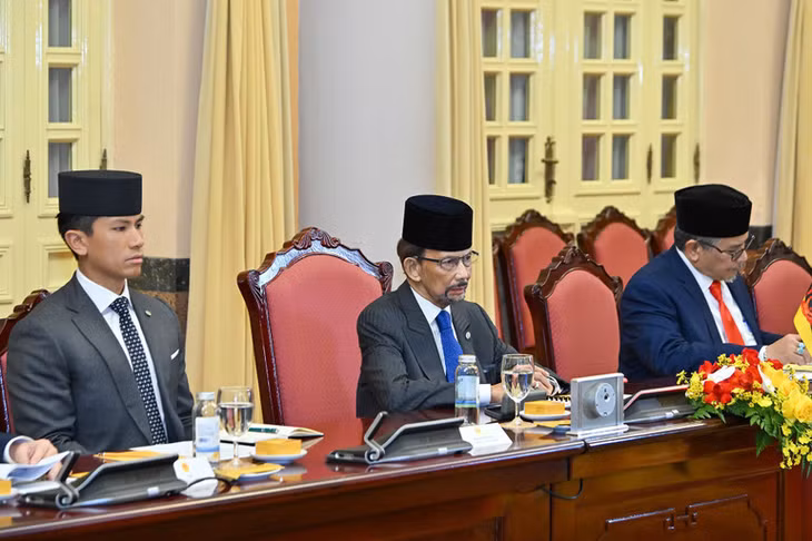 Quốc vương Brunei phát biểu tại hội đàm (ảnh Thủy Nguyên)