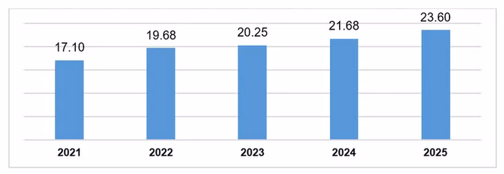 Vốn đầu tư trực tiếp nước ngoài thực hiện 11 tháng các năm 2021-2025 (Tỷ USD). (Nguồn: Cục Thống kê)
