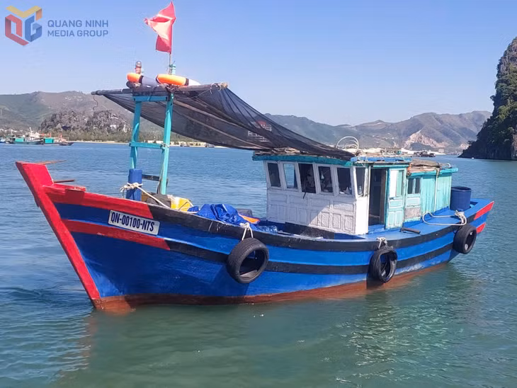 Tàu phục vụ nuôi trồng thủy sản tại Vân Đồn được gắn biển số để quản lý. 