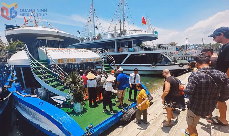 Du khách lên tàu tham quan Vịnh Hạ Long từ Cảng tàu khách quốc tế Tuần Châu.