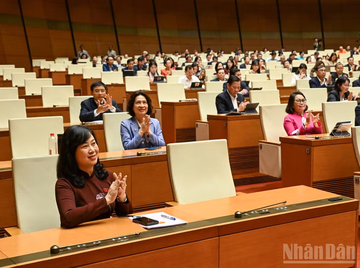Các đại biểu tham dự phiên họp. (Ảnh: DUY LINH)